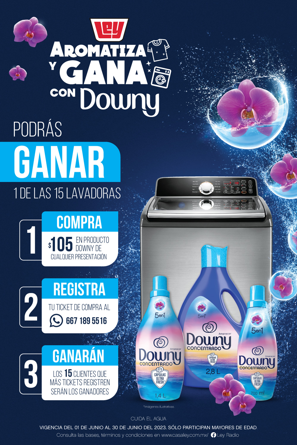 Aromatiza y gana con Downy