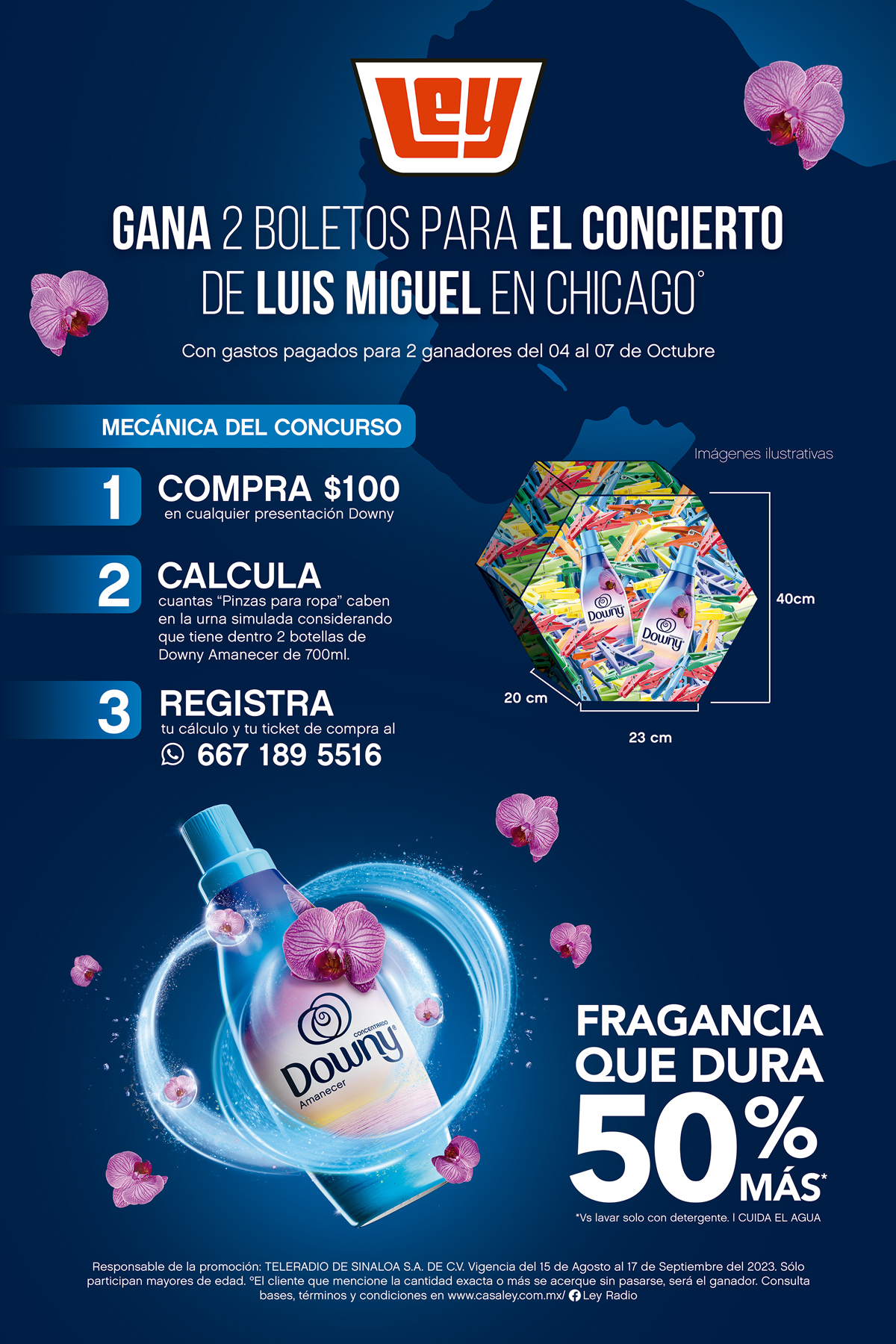 DOWNY: Gana 2 boletos para Luis Miguel en Chicago