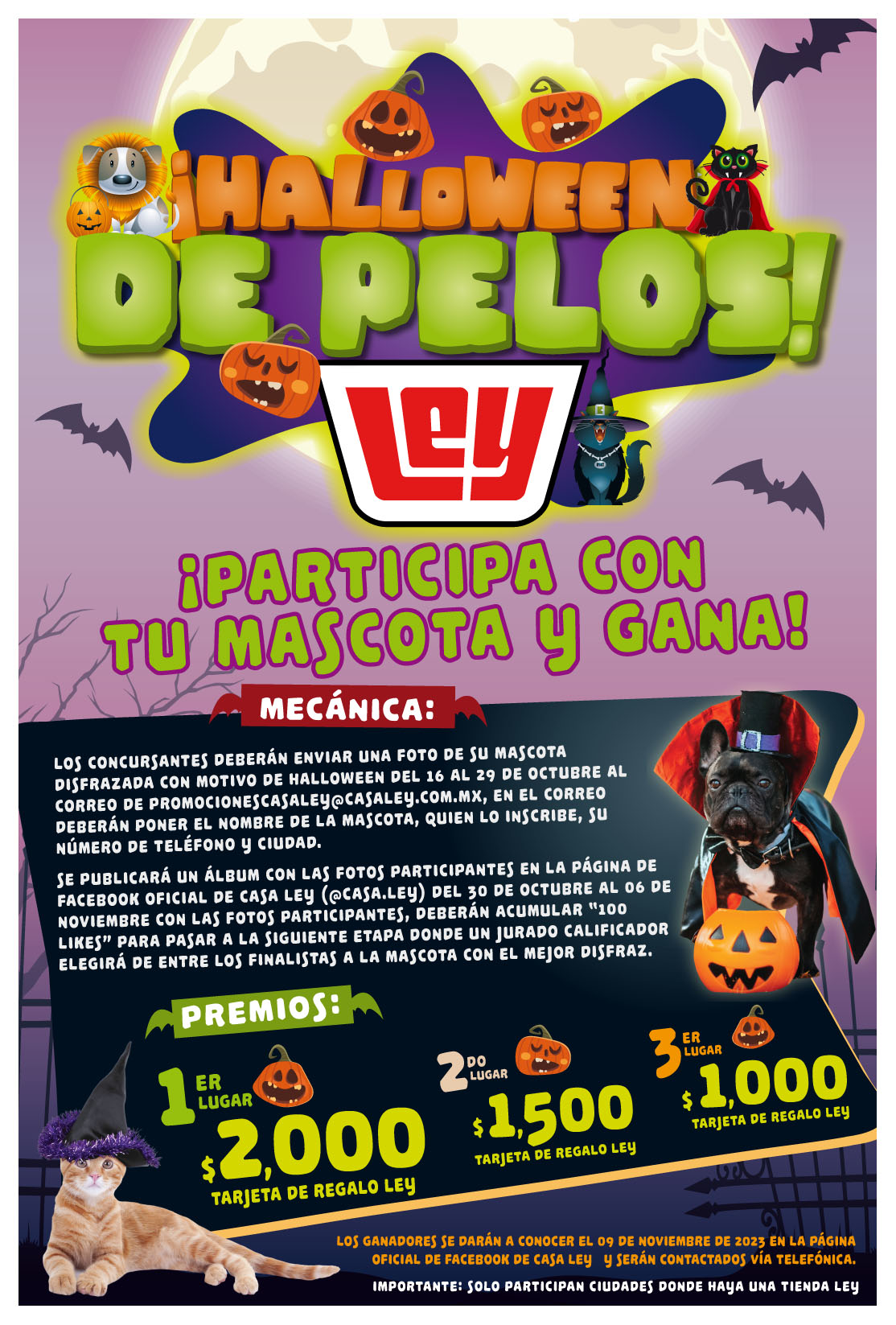 Halloween de Pelos